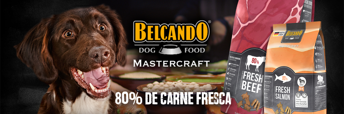 bb-kategorie-mastercraft-desktop-header-es