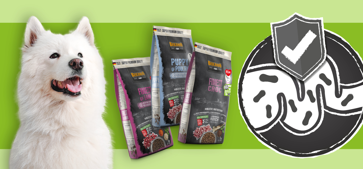 m100711-bb-landingpage-probiotika-header