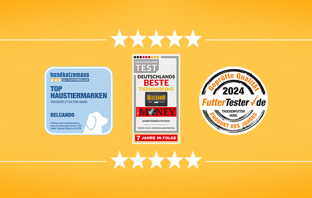 Auszeichnungen BELCANDO Drei verschiedene Awards auf einem orangenen Hintergrund