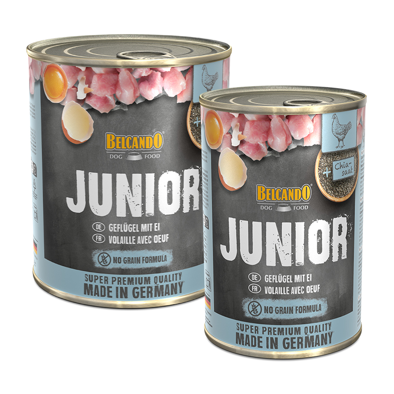 bb-dose-super-premium-junior-comp