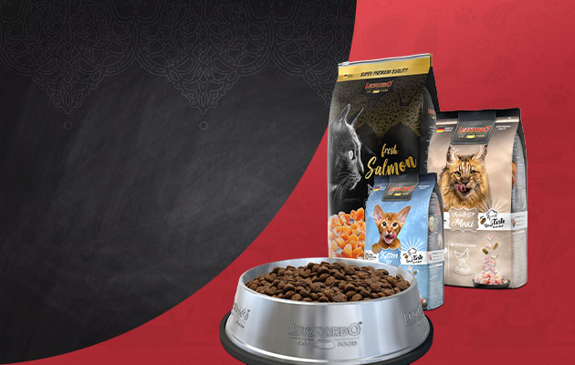 Trockenfutter produktübersicht Leonardo Produkte Futternapf mit Futter und dahinter 3 Futtersäcke in verschiedenen Größen