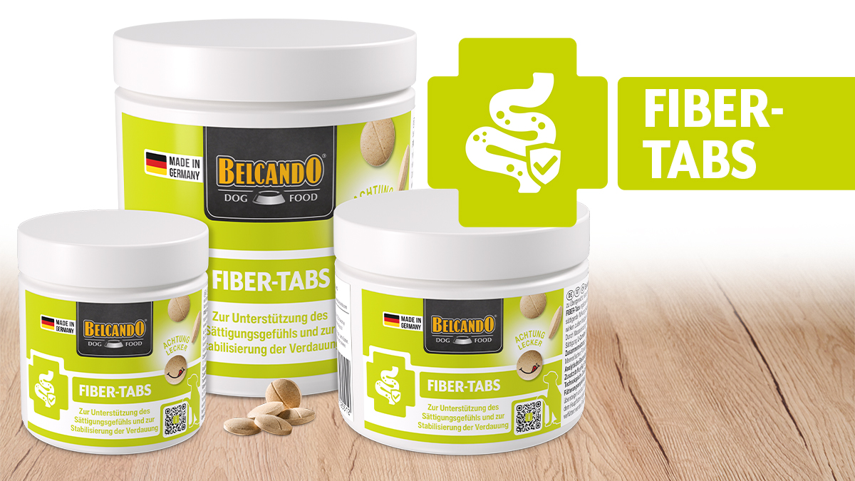 Produktbild der Tabs Fiber mit allen Verpackungsgrößen