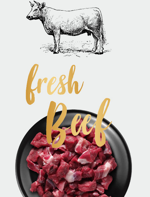 LEONARDO fresh beef