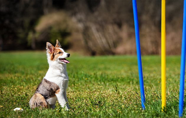 45724e81-143a-41f4-828f-47036e8011bb