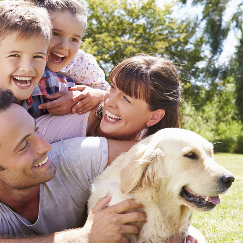 Welpen Sozialisierung Welpen Sozialisierung