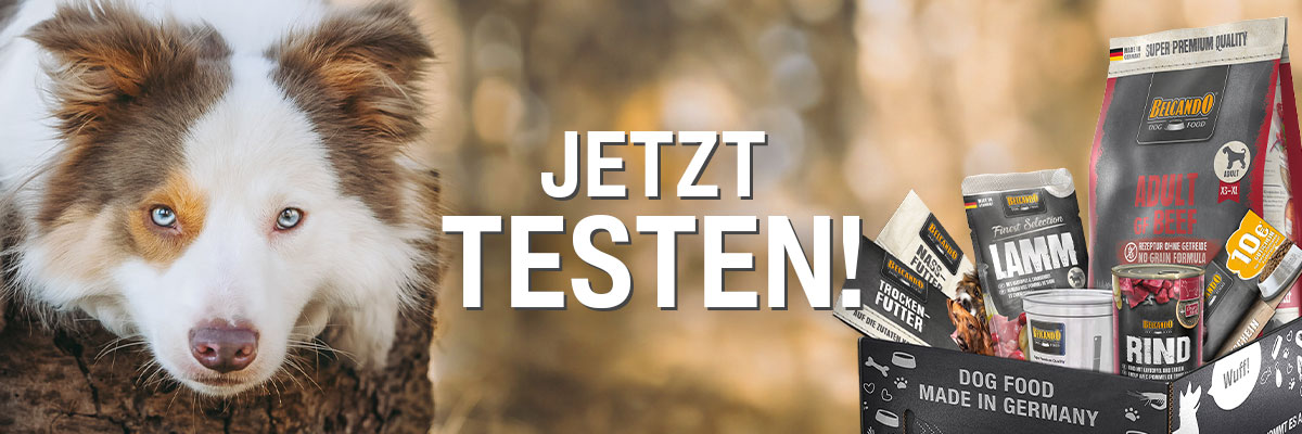 bb-klp-2024-desktop-header-V2