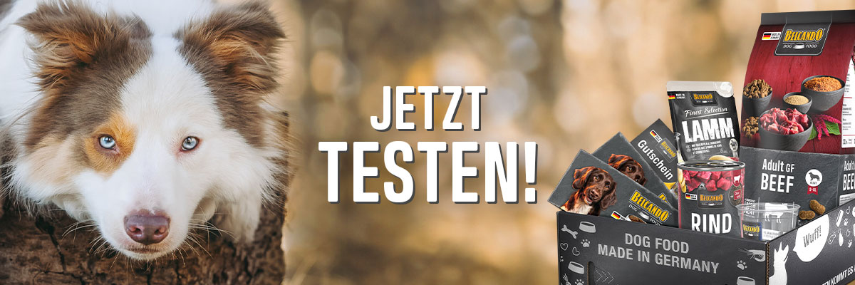 bb-klp-2024-desktop-header-V2