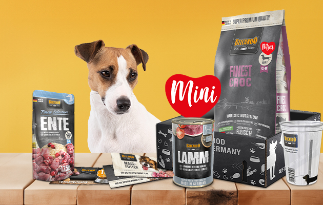 Belcando Probierbox Mini-Linie Belcando Probierbox Mini-Linie