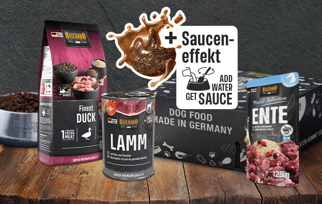 Belcando Probierbox Mini-Linie Belcando Probierbox Mini-Linie