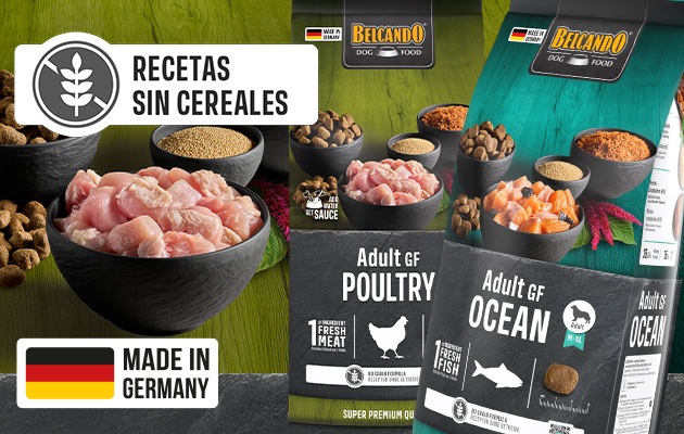 bb-kategorie-gf-mobile-header-es