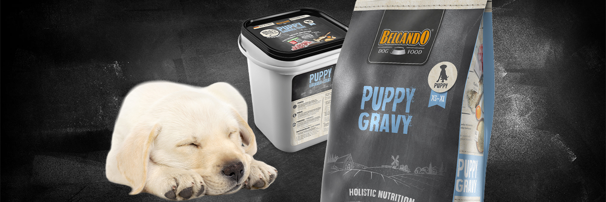 Belcando Trockenfutter mit Welpe und dem Milchersatzprodukt Belcando Trockenfutter mit Welpe und dem Milchersatzprodukt