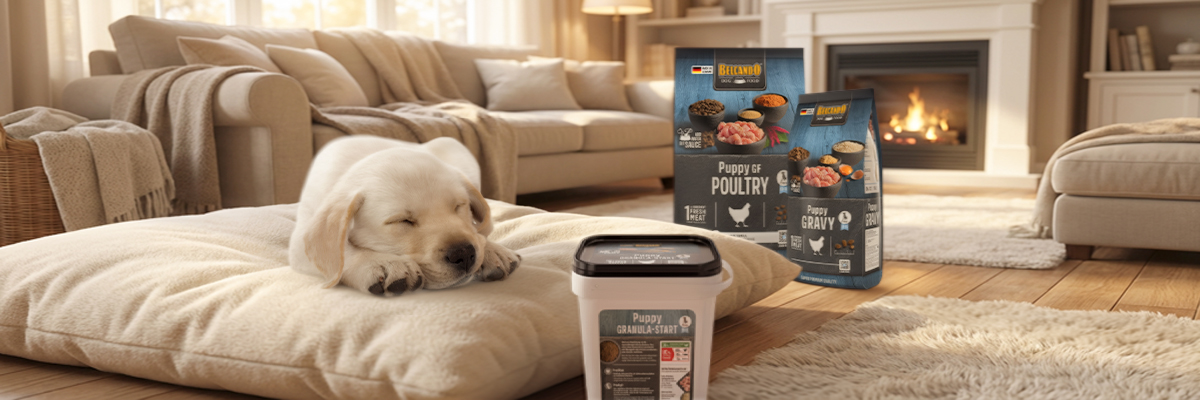 Belcando Trockenfutter mit Welpe und dem Milchersatzprodukt