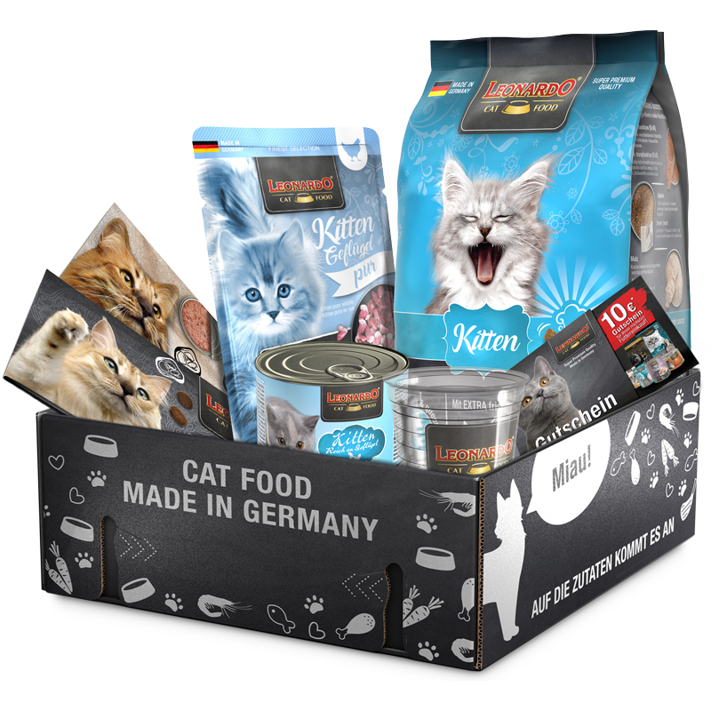 Cat Box LEONARDO Kitten bl-klp-2024-kitten-800px