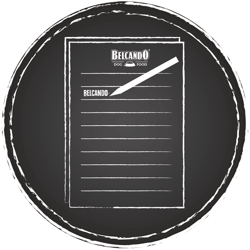 Belcando_Garantie_Icon01 Belcando_Garantie_Icon01