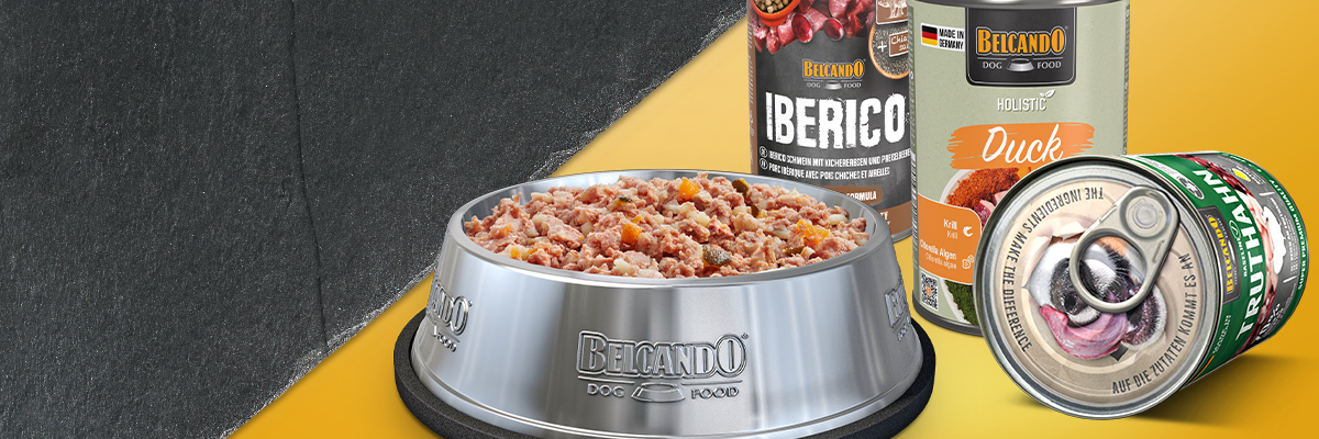 Produktübersicht Belcando Nassfutter aller Linien 
