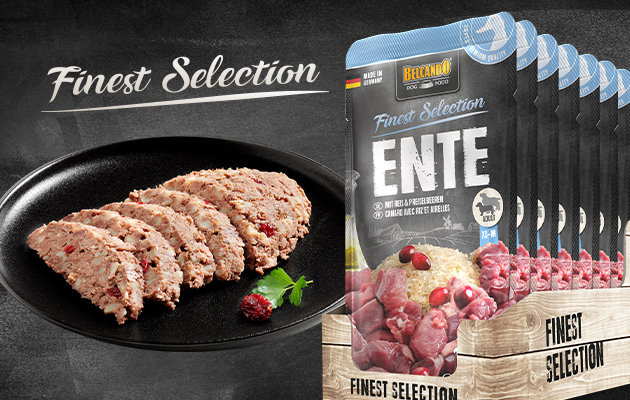 Plate with wet food image of Finest Selection Duck