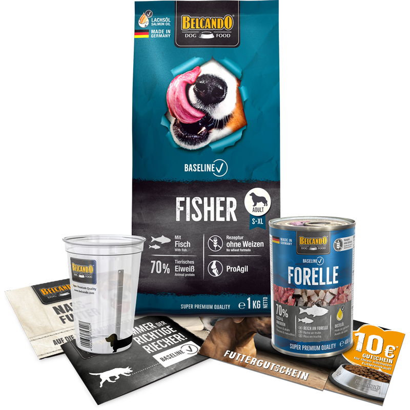 DOG BOX BELCANDO® Baseline Fisher