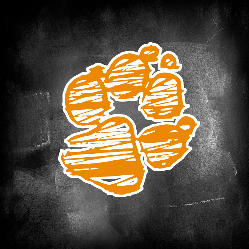 Pfotentipps Pfotentipps