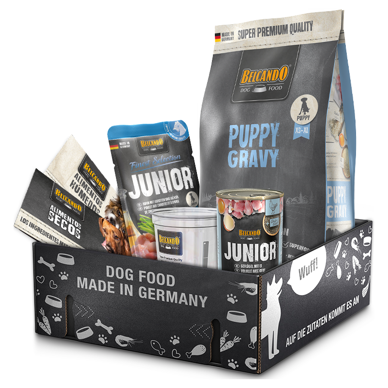 Dog Box BELCANDO® Puppy Gravy 