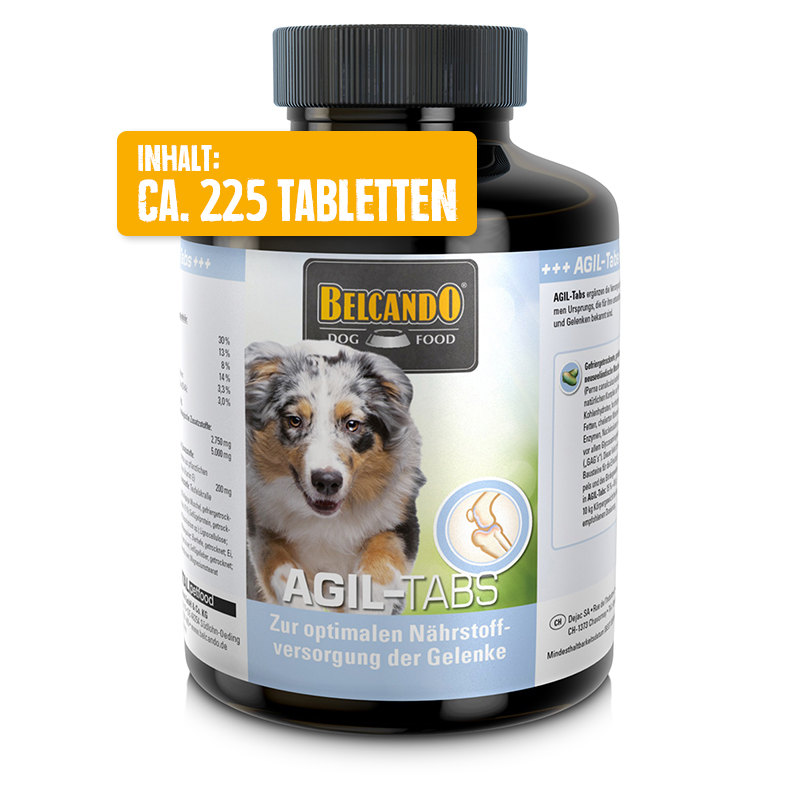 bb-tabs-agil-front-225