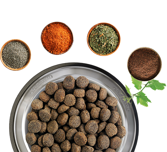 zutaten-alles-in-einem-napf zutaten-alles-in-einem-napf