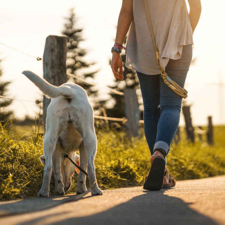 #hundemensch #hundemensch