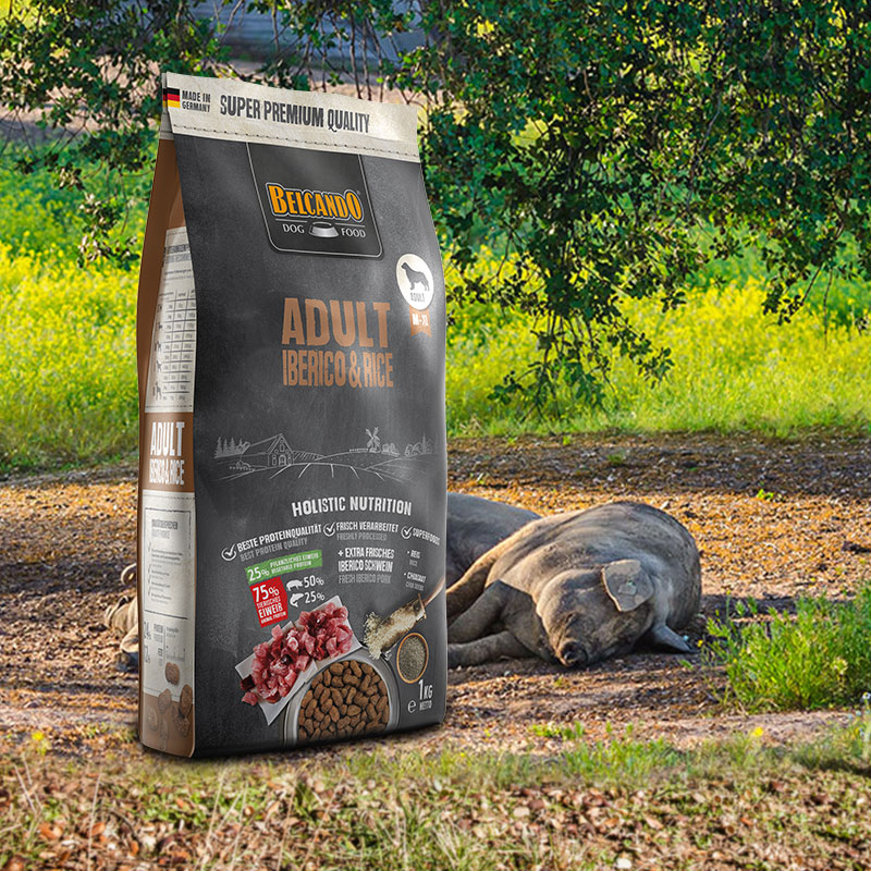 Adult Iberico & Rice Adult Iberico & Rice