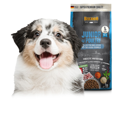 Belcando Trockenfutter für Junghunde Belcando Trockenfutter für Junghunde