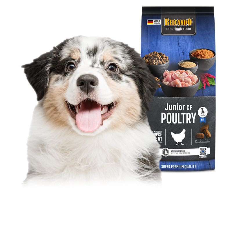 Belcando Trockenfutter für Junghunde