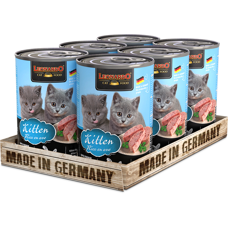 LEONARDO Kitten Rico en ave LEONARDO Kitten Rico en ave