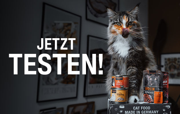 bl-klp-lp-mobile-header