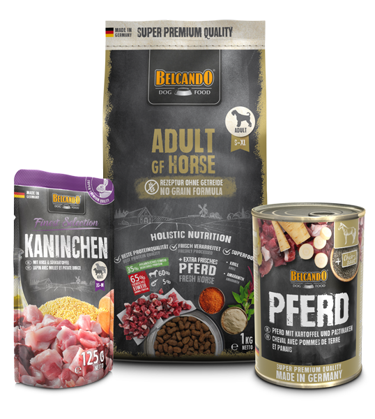 belcando-kennlernpaket-adult-gf-horse belcando-kennlernpaket-adult-gf-horse