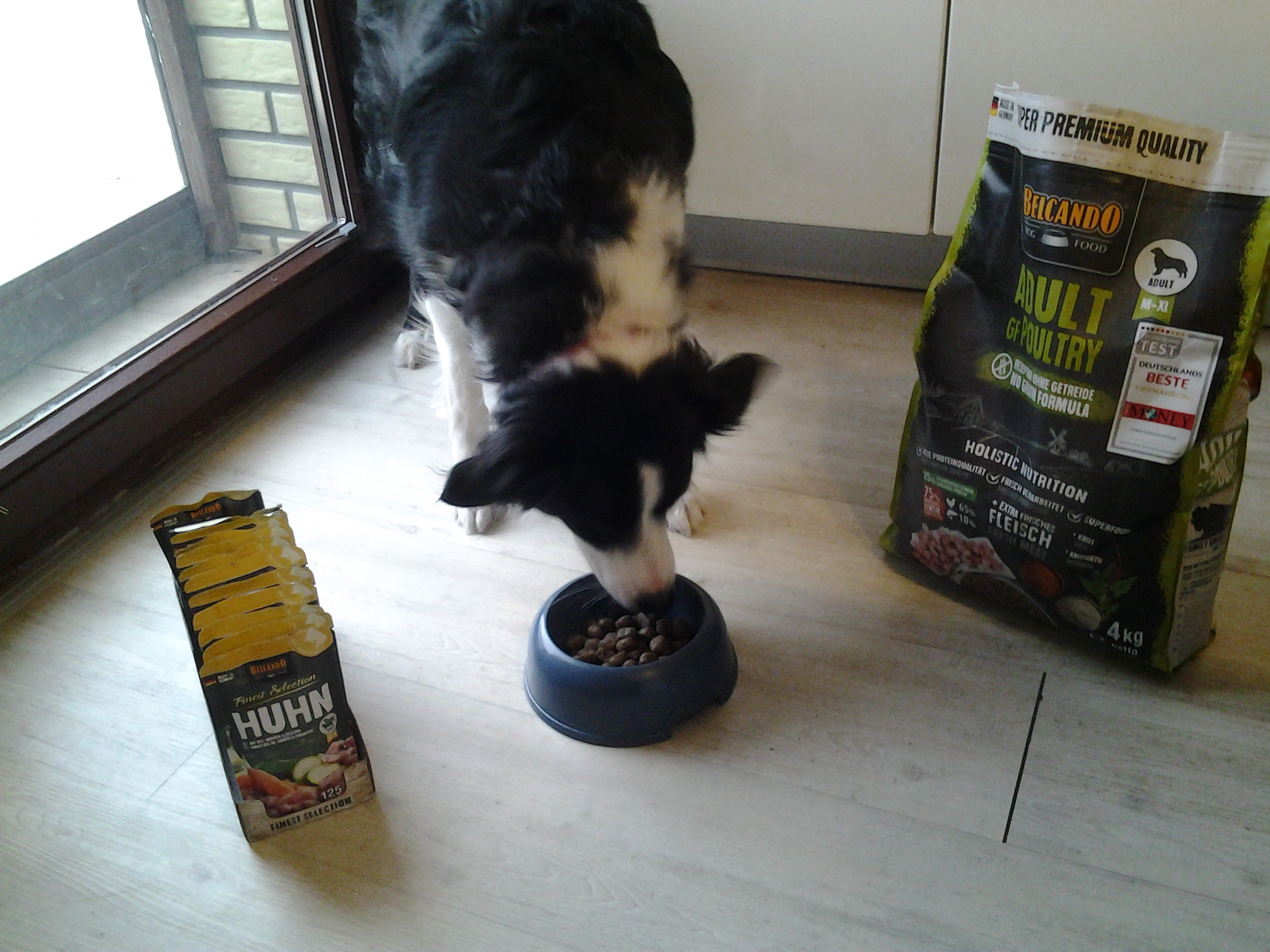 20250206_134436URcyCL