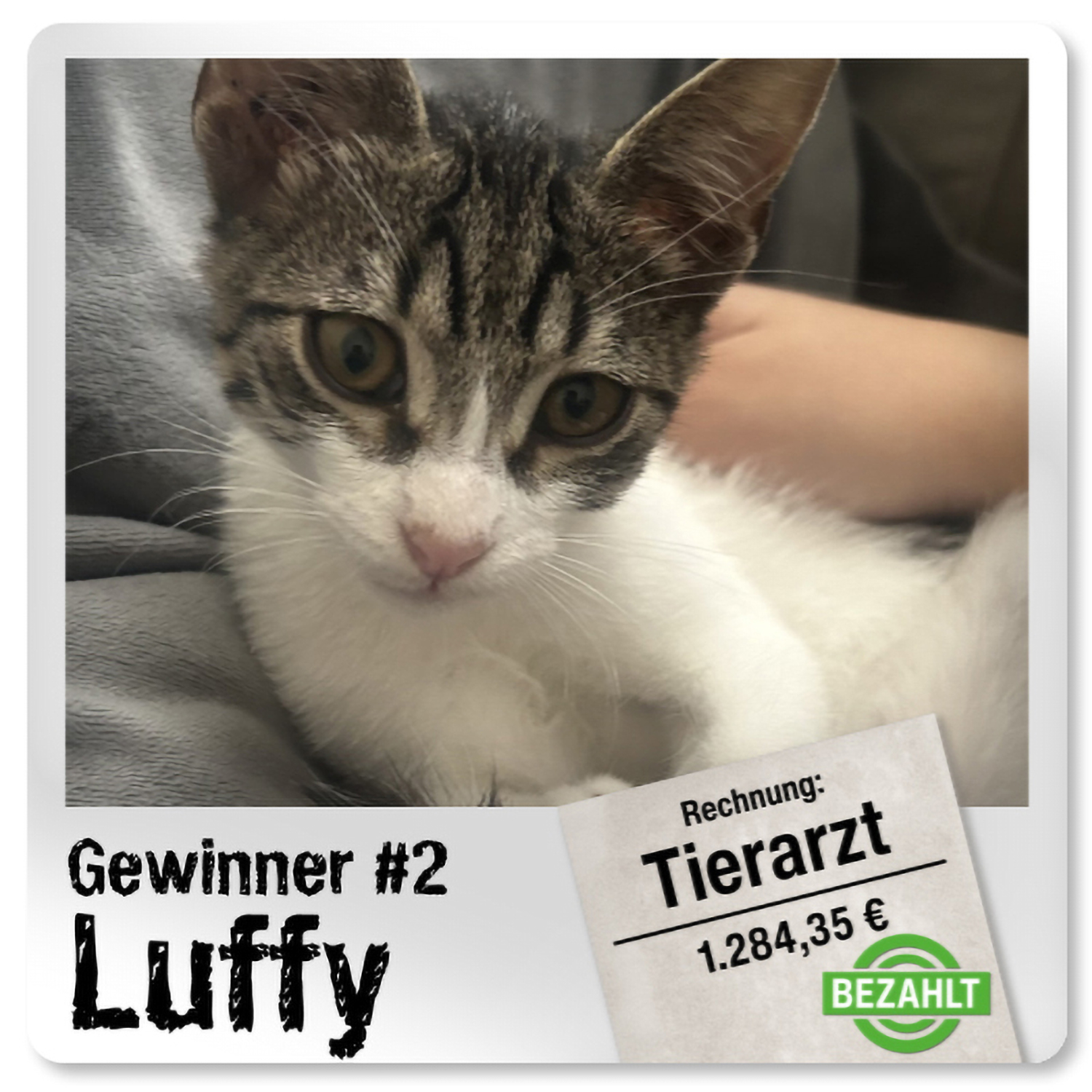 Gewinner-Luffy-Polaroid Gewinner-Luffy-Polaroid