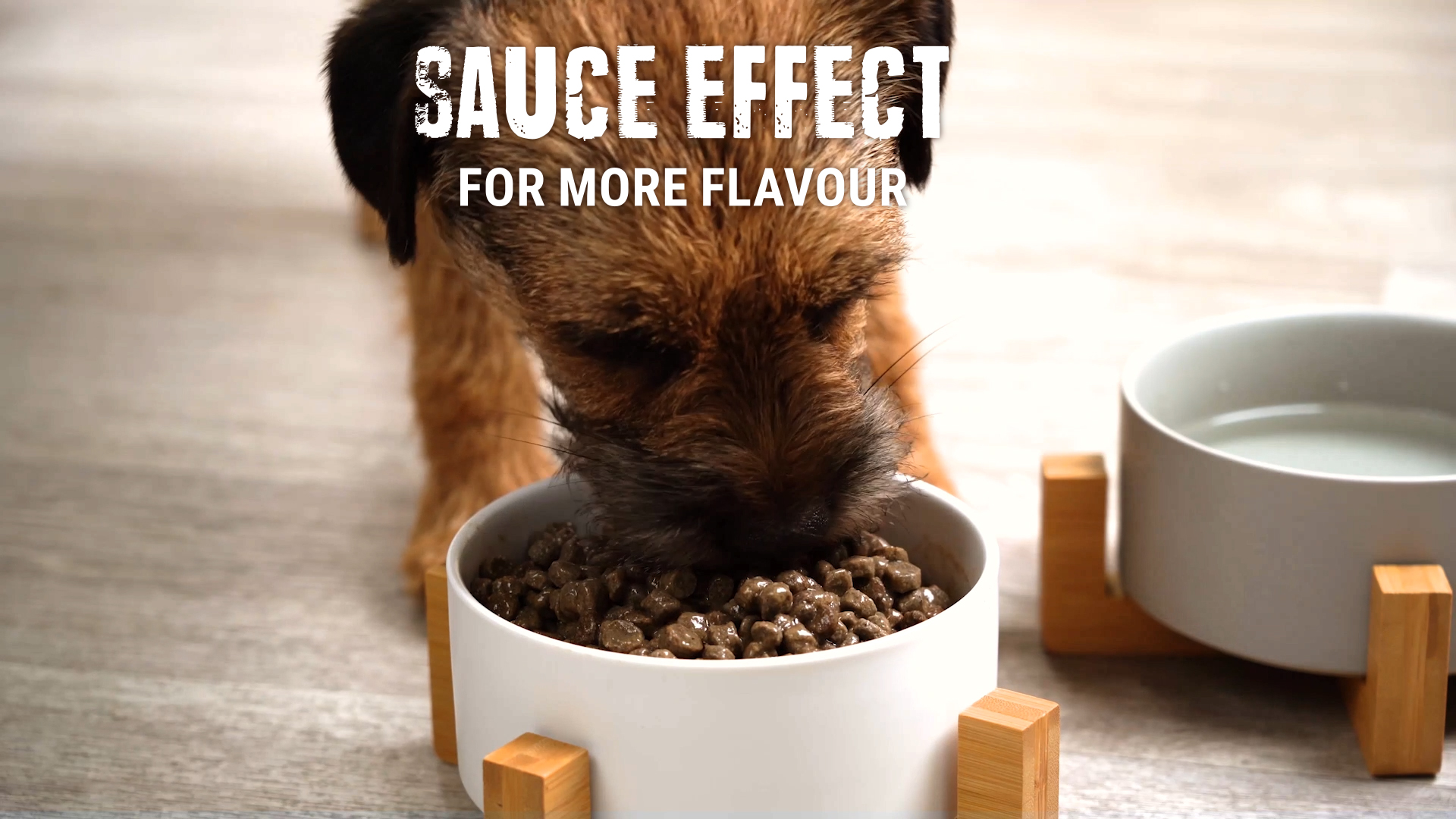 Sauce effect for more flavour