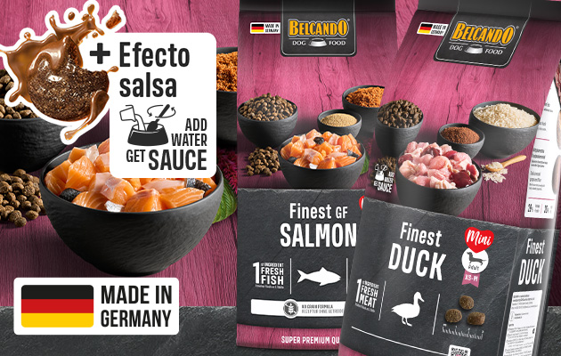 bb-kategorie-mini-mobile-header-es