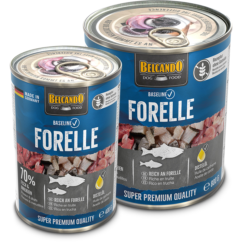 bb-baseline-dose-forelle-composing-400g-800g-800px
