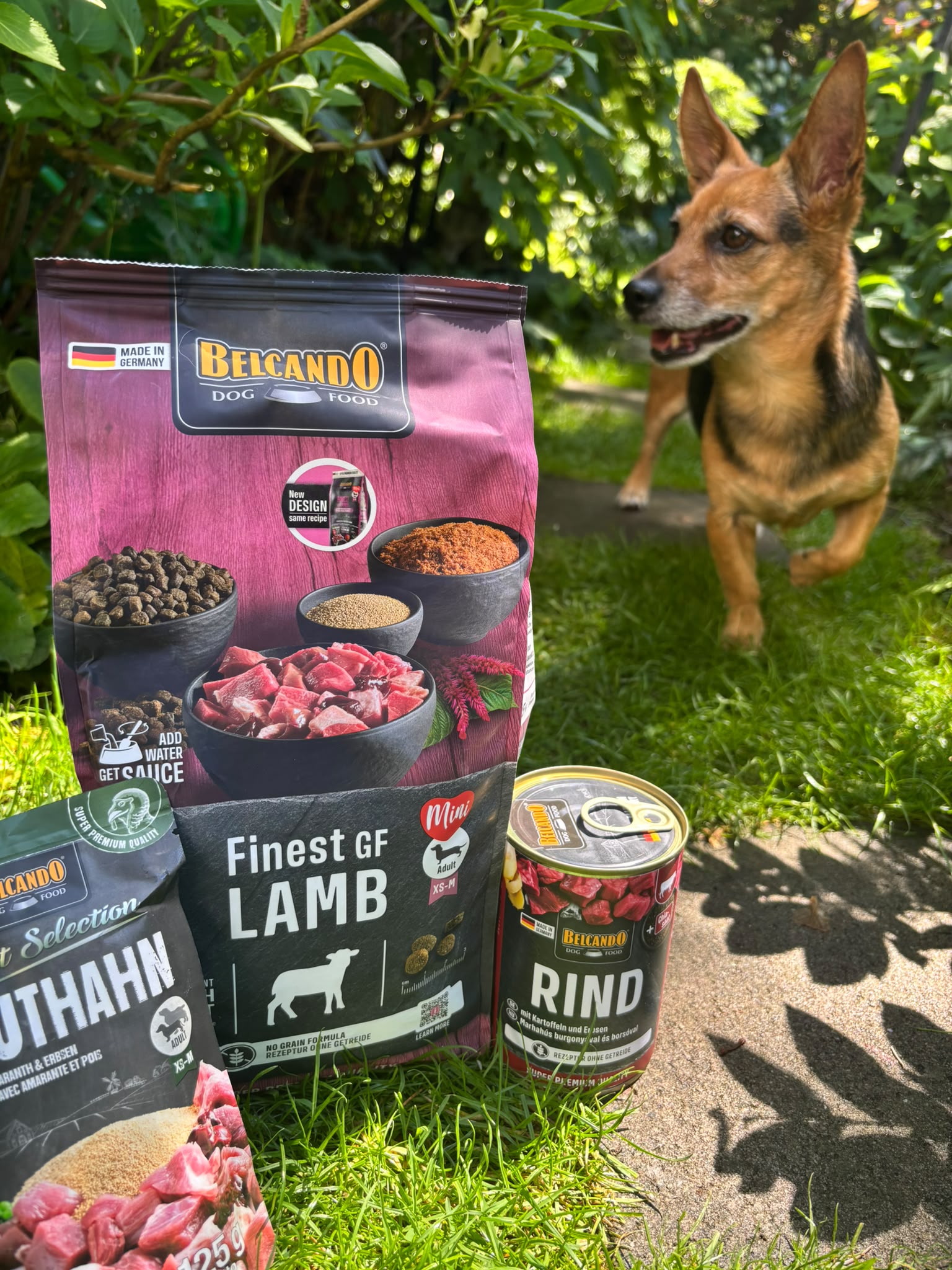 Dog Box BELCANDO Finest GF Lamb Dog Box BELCANDO Finest GF Lamb