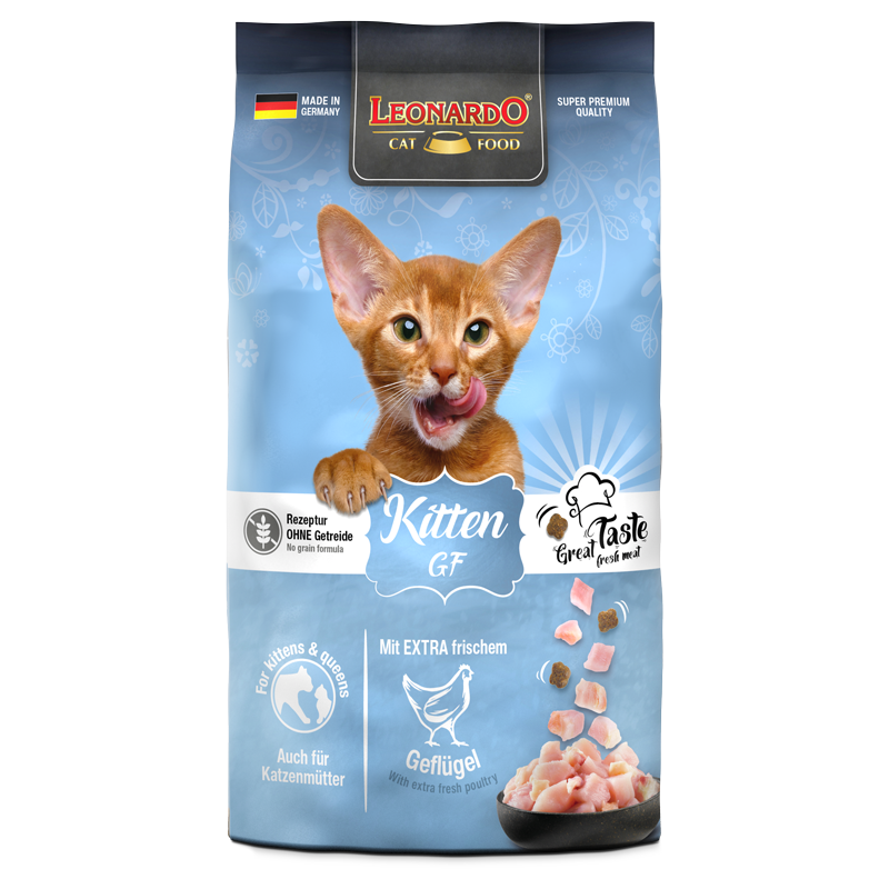 bl-kitten-gf-300g-front bl-kitten-gf-300g-front