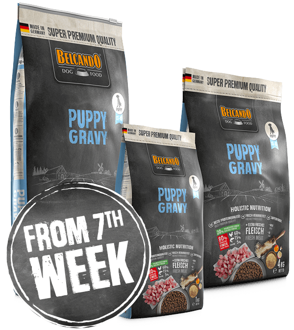 Belcando-puppy-gravy-Wochenanzeige-GB