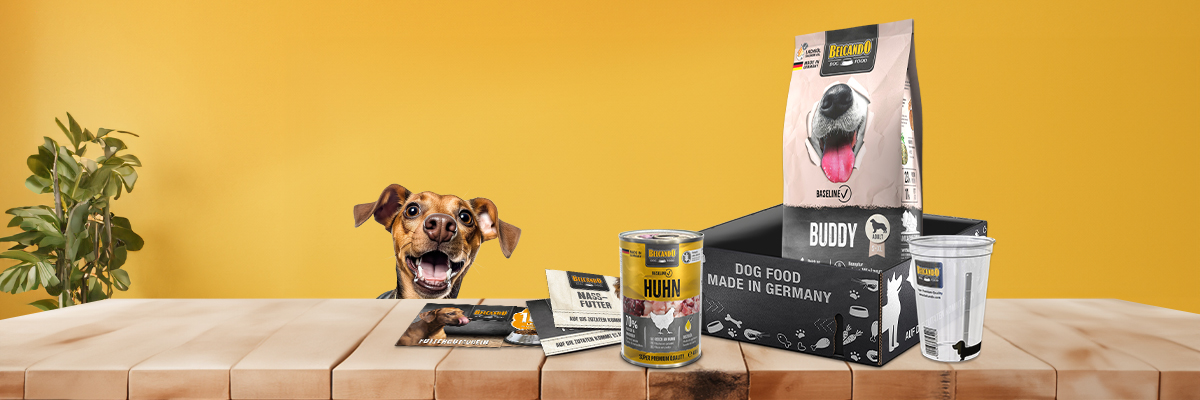 Belcando Probierbox Baseline Belcando Probierbox Baseline