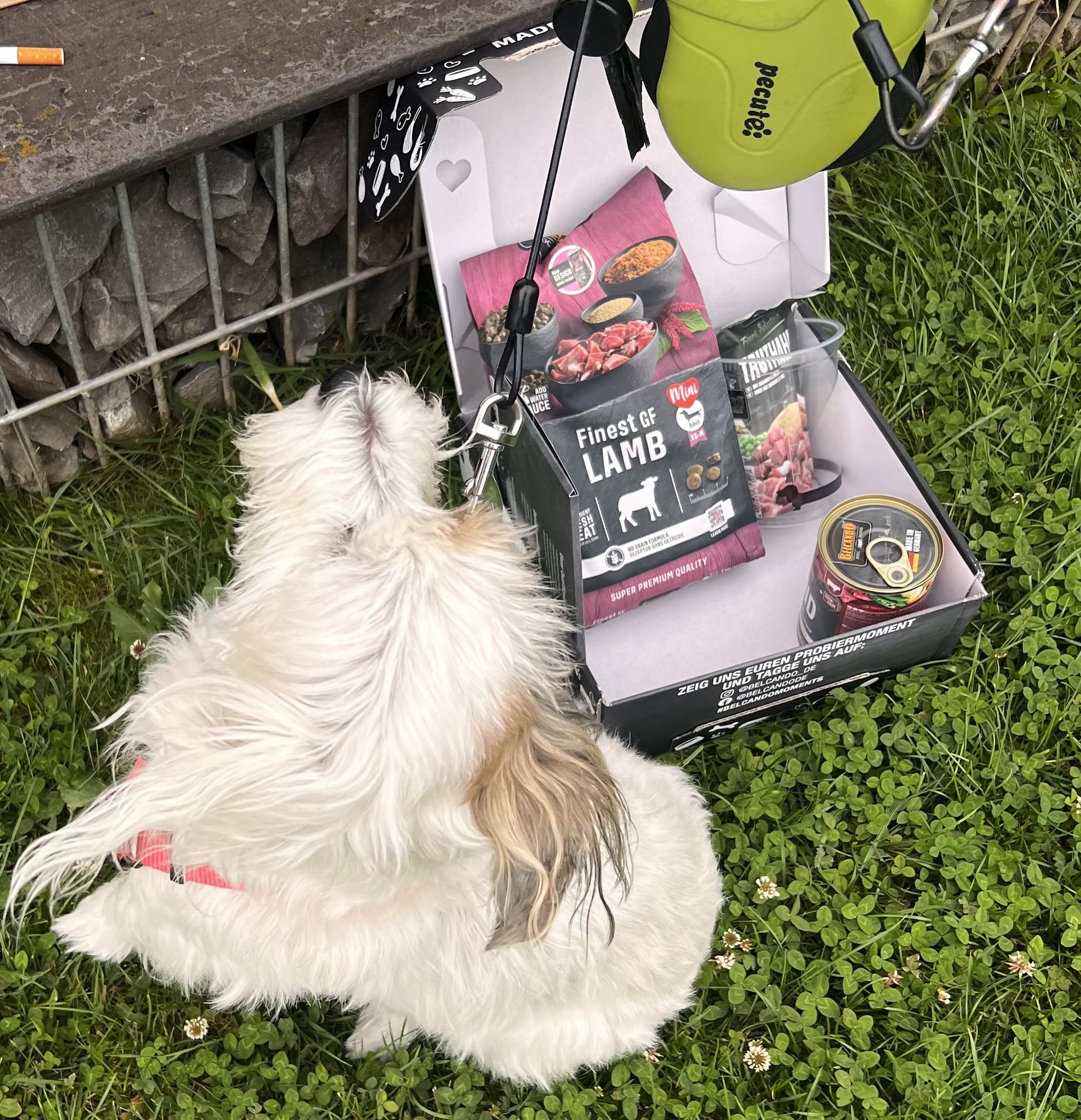 Dog Box BELCANDO Finest GF Lamb Dog Box BELCANDO Finest GF Lamb