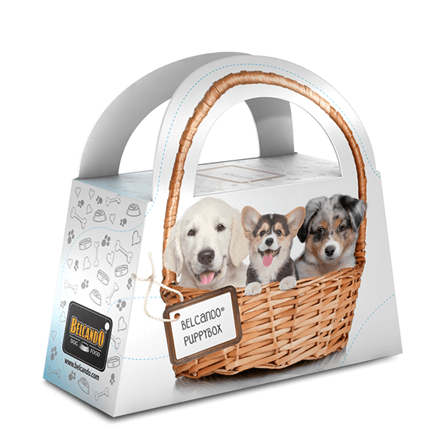 Belcando Puppybox
