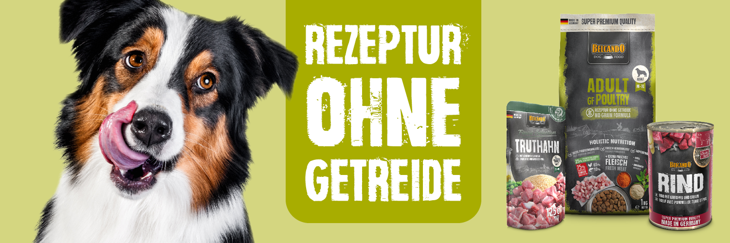 m100356-bb-klp-landingpage-banner-getreidefrei