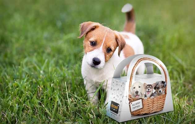 bb-edogs-welpenpaket-mobile-header