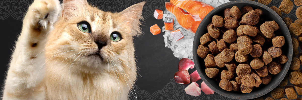 bl-kategorie-trockenfutter-desktop-header