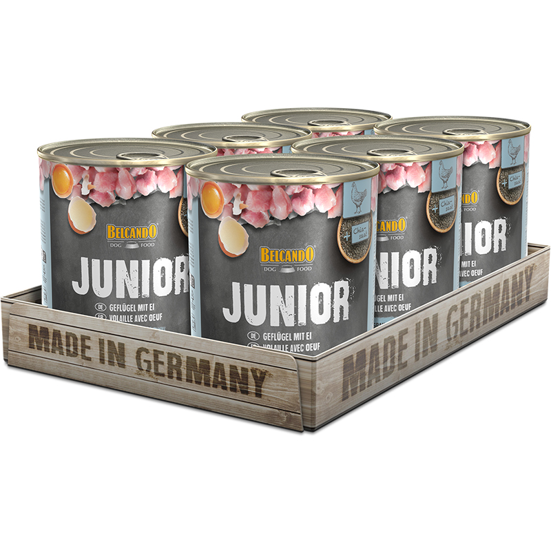 bb-dose-super-premium-junior-800g-tray