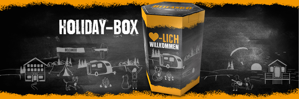 bb-holiday-box-desktop-header