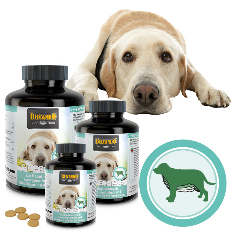 lp-tabs-fiber-composing