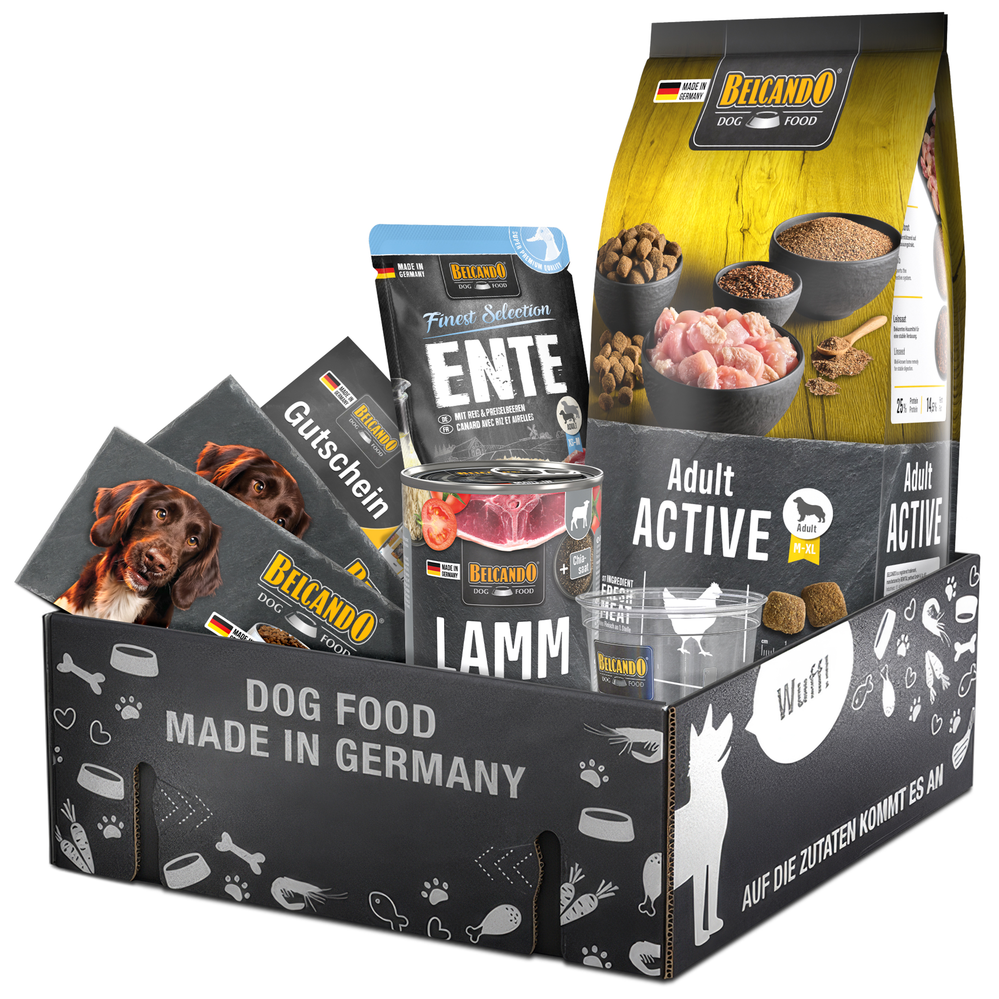 Dog Box BELCANDO Adult Active